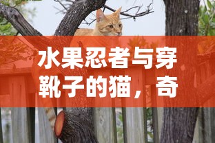 三国志13mod明末风云