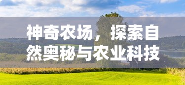 左耳电影剧情介绍详细  第1张