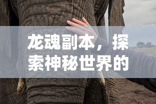 龙魂副本，探索神秘世界的奇幻之旅，龙魂副本，神秘世界的奇幻探险之旅  第1张