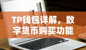 TP钱包详解，数字货币购买功能指南  第1张