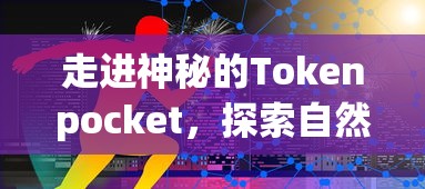 走进神秘的Tokenpocket，探索自然之美  第1张