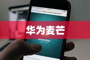 太阁立志传4新剧本，英雄崛起与传奇再现的辉煌篇章  第1张
