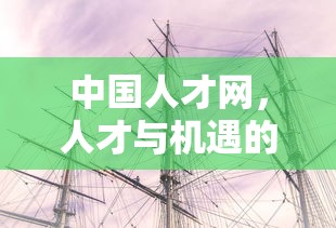 中国人才网，人才与机遇的桥梁连接者  第1张