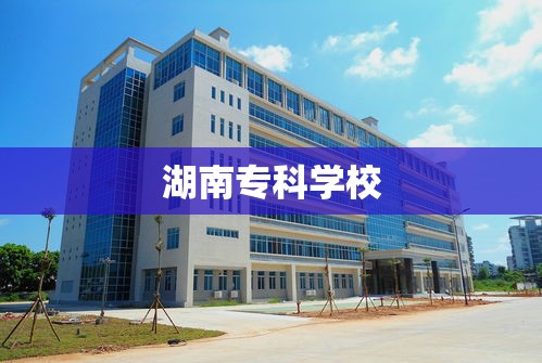 湖南专科学校排名一览表  第1张