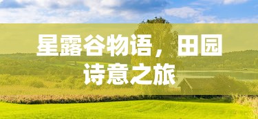 上古卷轴秘籍代码大全  第1张