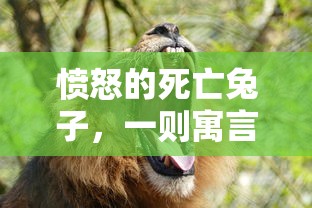 愤怒的死亡兔子，一则寓言启示  第1张