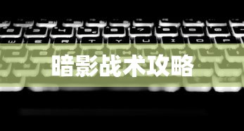 CF天蛛骑士  第1张