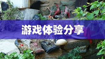 通字之义，深探通识六艺经传的内涵  第1张