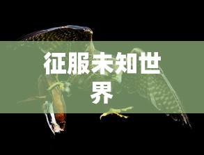 圣域2全面攻略，征服未知世界的终极指南  第1张