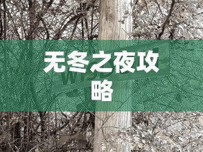无冬之夜攻略大全，未知世界的探索秘密  第1张