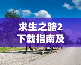 Win11兼容性视图设置位置详解  第1张