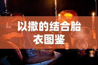 以撒的结合胎衣图鉴，深度探索神秘游戏世界的奥秘之旅  第1张