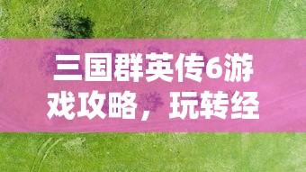 lol手游英雄全收录  第1张