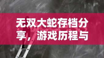 无双大蛇存档分享，游戏历程与心得回顾  第1张