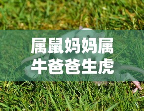 热血江湖手游，重温经典，挑战未知  第1张