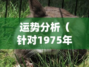 剑灵十八禁图片大全  第1张