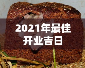 致胜价格多少  第1张