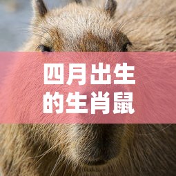 适合平板的手游推荐榜单来袭！  第1张