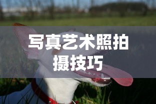 d.v本子  第1张