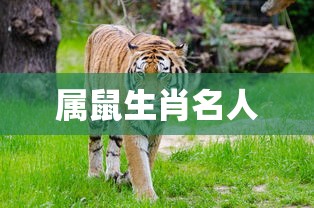 拉结尔快速升级攻略  第1张