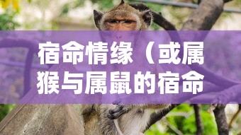 解析火花塞间隙的重要性及其标准值  第1张