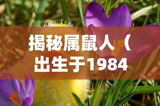 大疆精灵3a参数  第1张