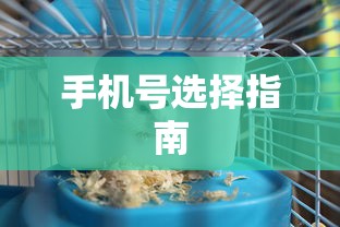 深入理解ORM框架的原理  第1张