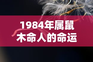 驾照扣分什么时候清零?  第1张