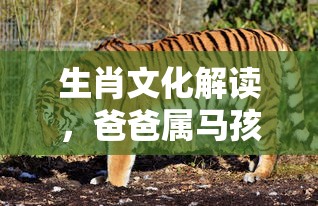 DNF手游，金币囤积策略全解析  第1张