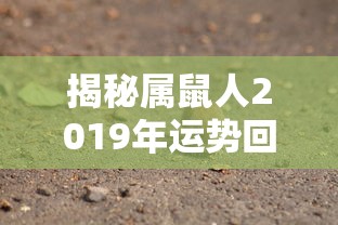 天地英豪之中原镖局全集在线观看  第1张