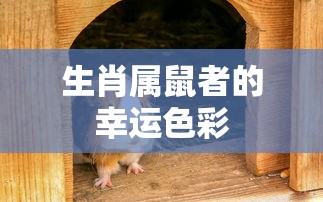 小米10 Apex手游攻略，优化设置与游戏技巧全解析  第1张