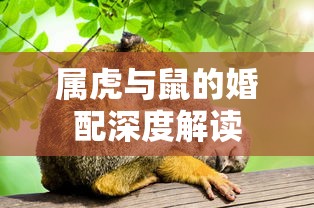 窗子以内by暴异思免费阅读  第1张
