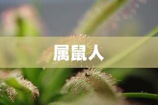 特勤精英叶一帆医院  第1张