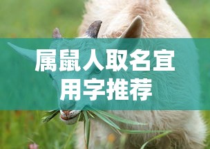 星界边境指令代码大全  第1张