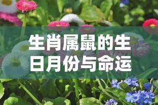 梦城进击的三国  第1张