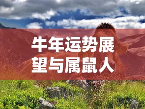 小叶紫檀的鉴别方法  第1张