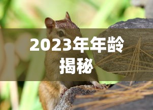 天书奇谈贴吧记录枯叶蝶  第1张
