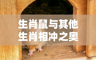 qq飞车手游改装技巧顺序  第1张