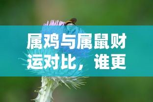 全民奇迹手游官网  第1张