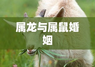 新拿驾驶证能否扣分？一文解答你的所有疑惑  第1张