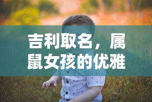 三国群英传5秘籍大全  第1张