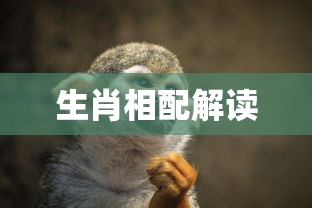 USDT钱包中文设置指南  第1张