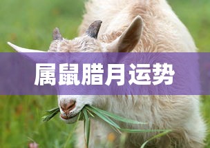 多玩弹弹堂官网  第1张