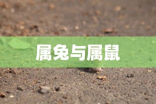 omg女队成员  第1张