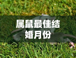 真三国无双7帝国捏脸数据  第1张