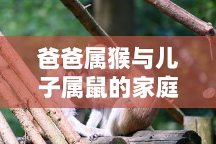 狂飙142集免费观看电视剧  第1张