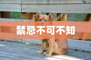 农场保卫战攻略手册，玩转手游农场保卫战！  第1张