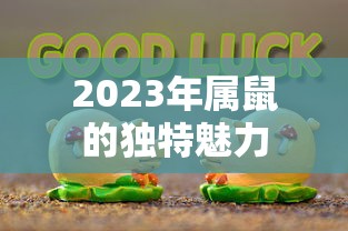 传世挂机下载  第1张