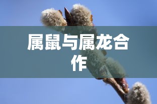 揭秘Video一词的含义与重要性  第1张