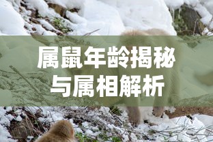 九霄战魂 柳枫  第1张